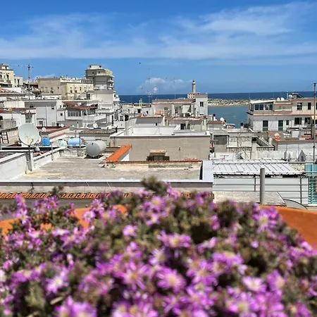 La Casaruccia Apartment